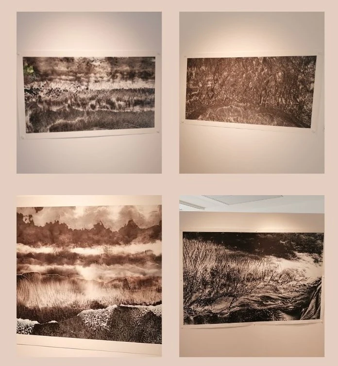dessin algues de jeju
